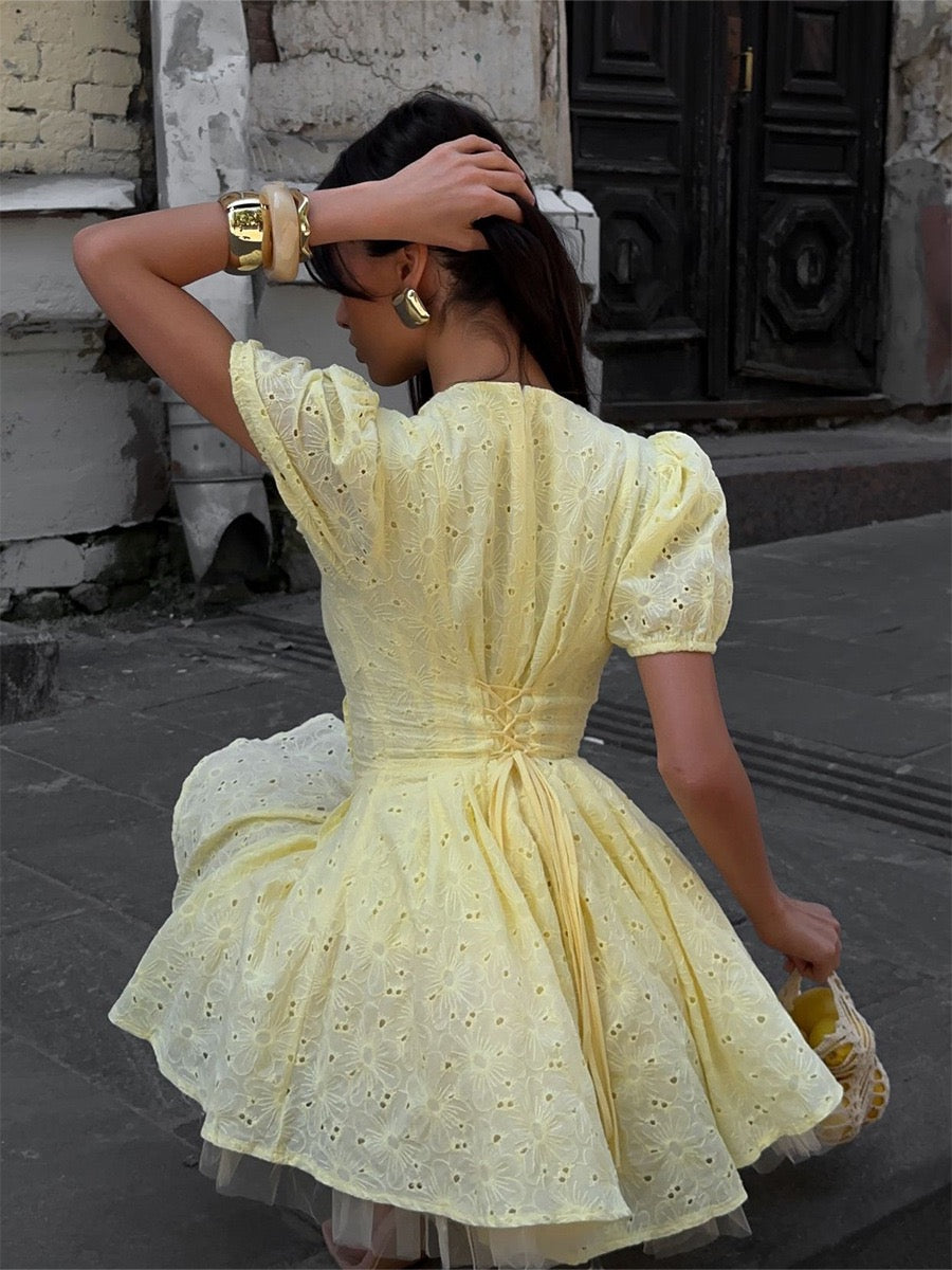 Tie sexy embroidery short dress