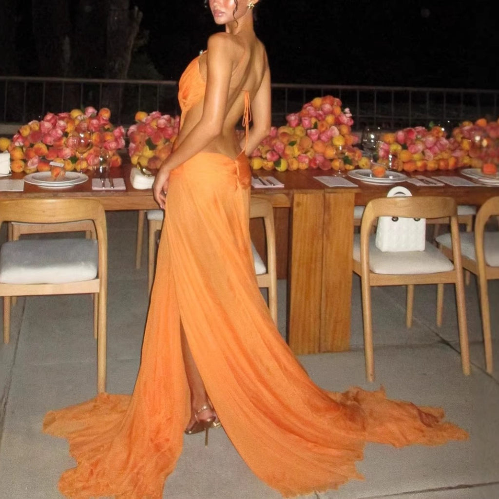Mesh spaghetti French dress